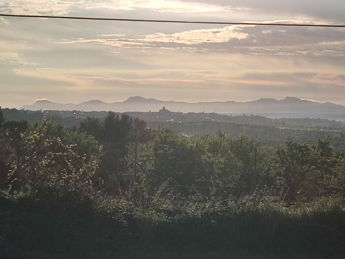 Agroturisme Subies Selva  Exterior foto