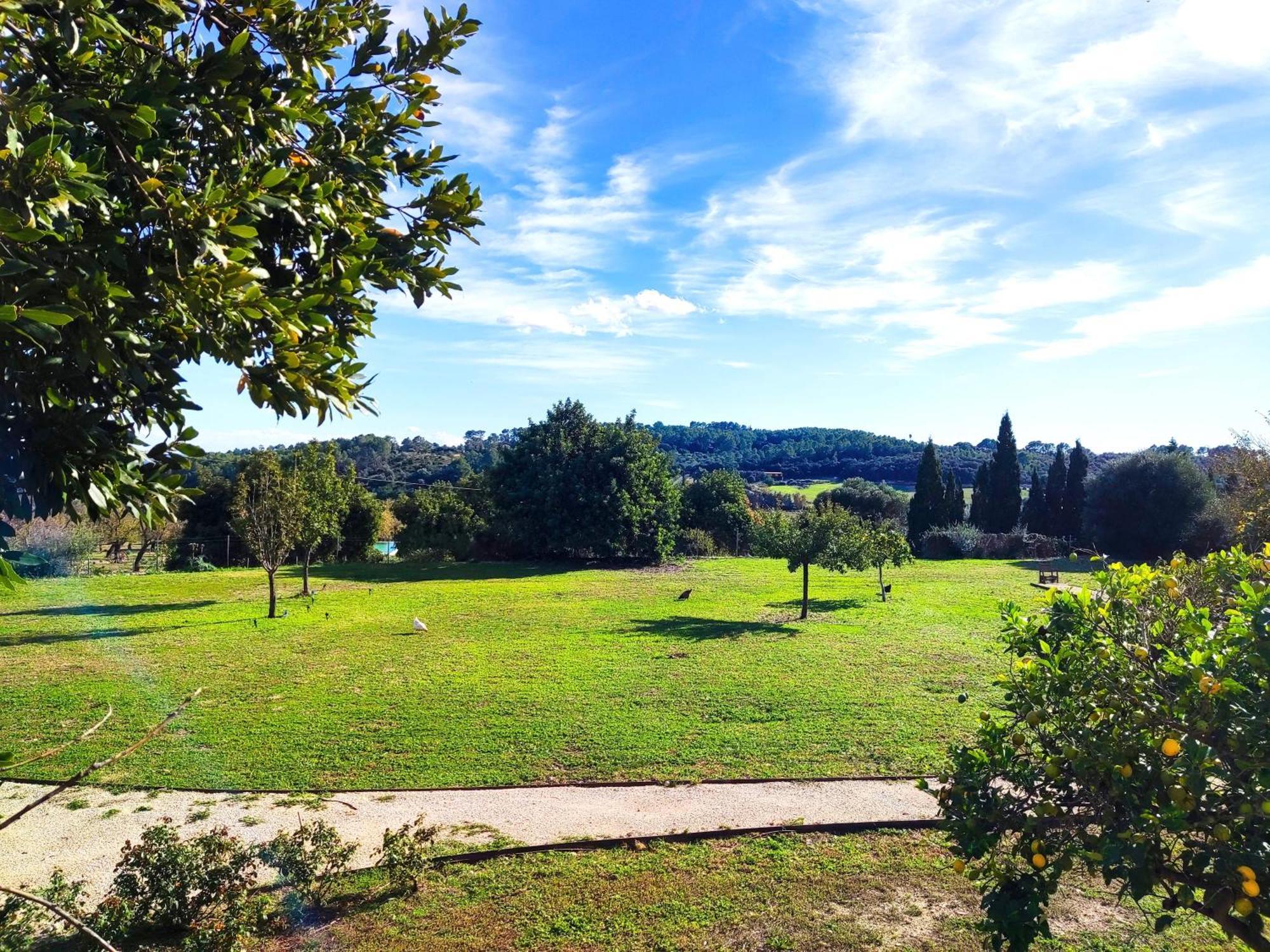 Agroturisme Subies Selva  Exterior foto